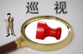 中共将乐县委关于巡视整改情况的通报